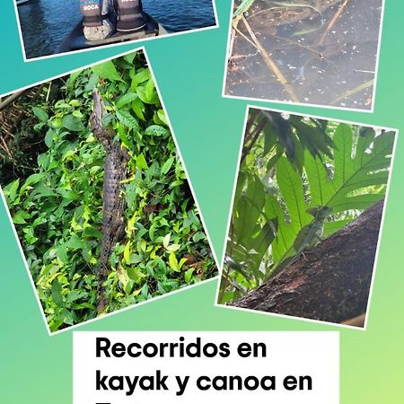 Apartamentos Caiman Tortuguero Kültér fotó