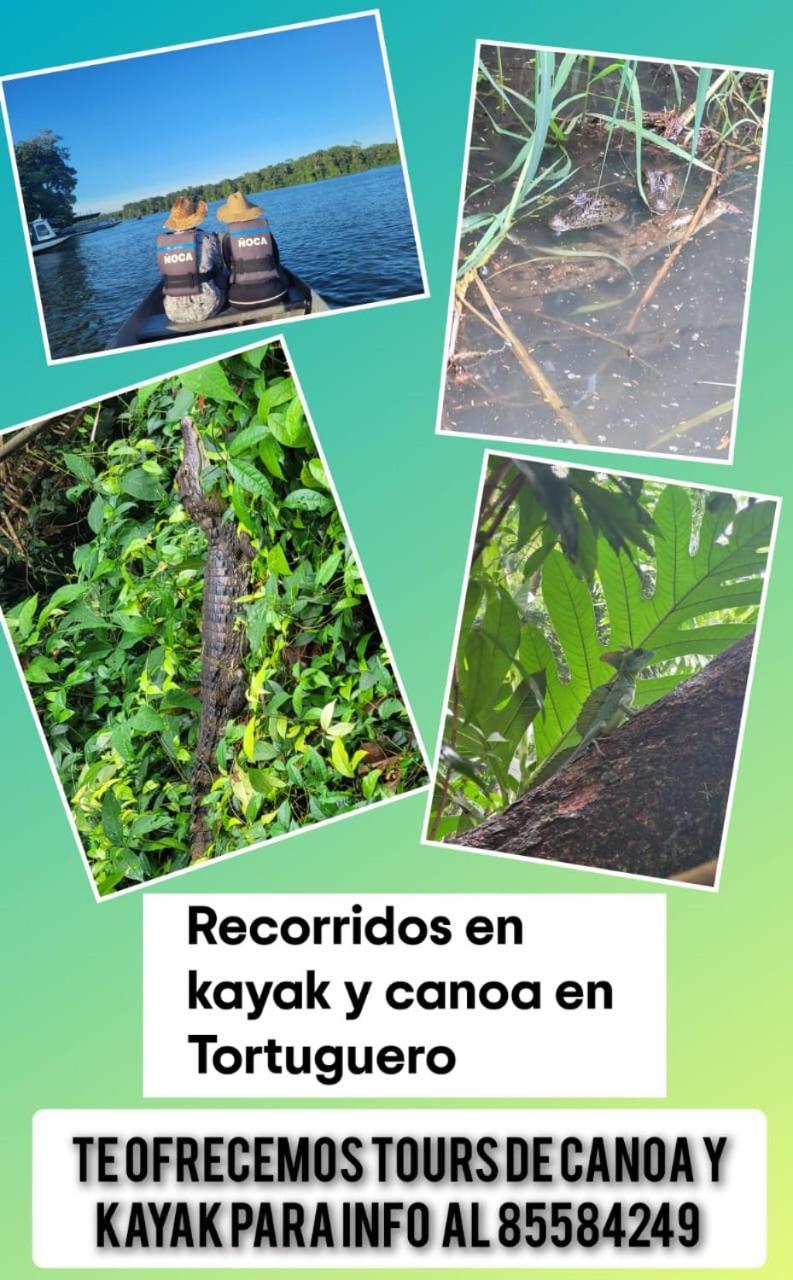 Apartamentos Caiman Tortuguero Kültér fotó